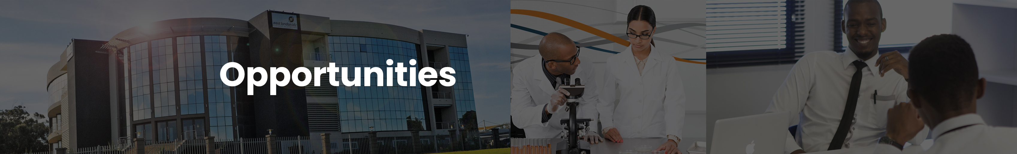 Web page-opportunities